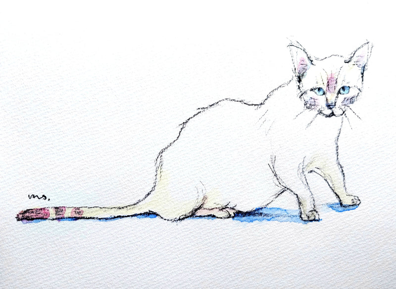 The Blue-Eyed Cat