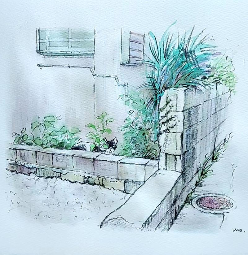 Whispers of Okinawa with a Cat