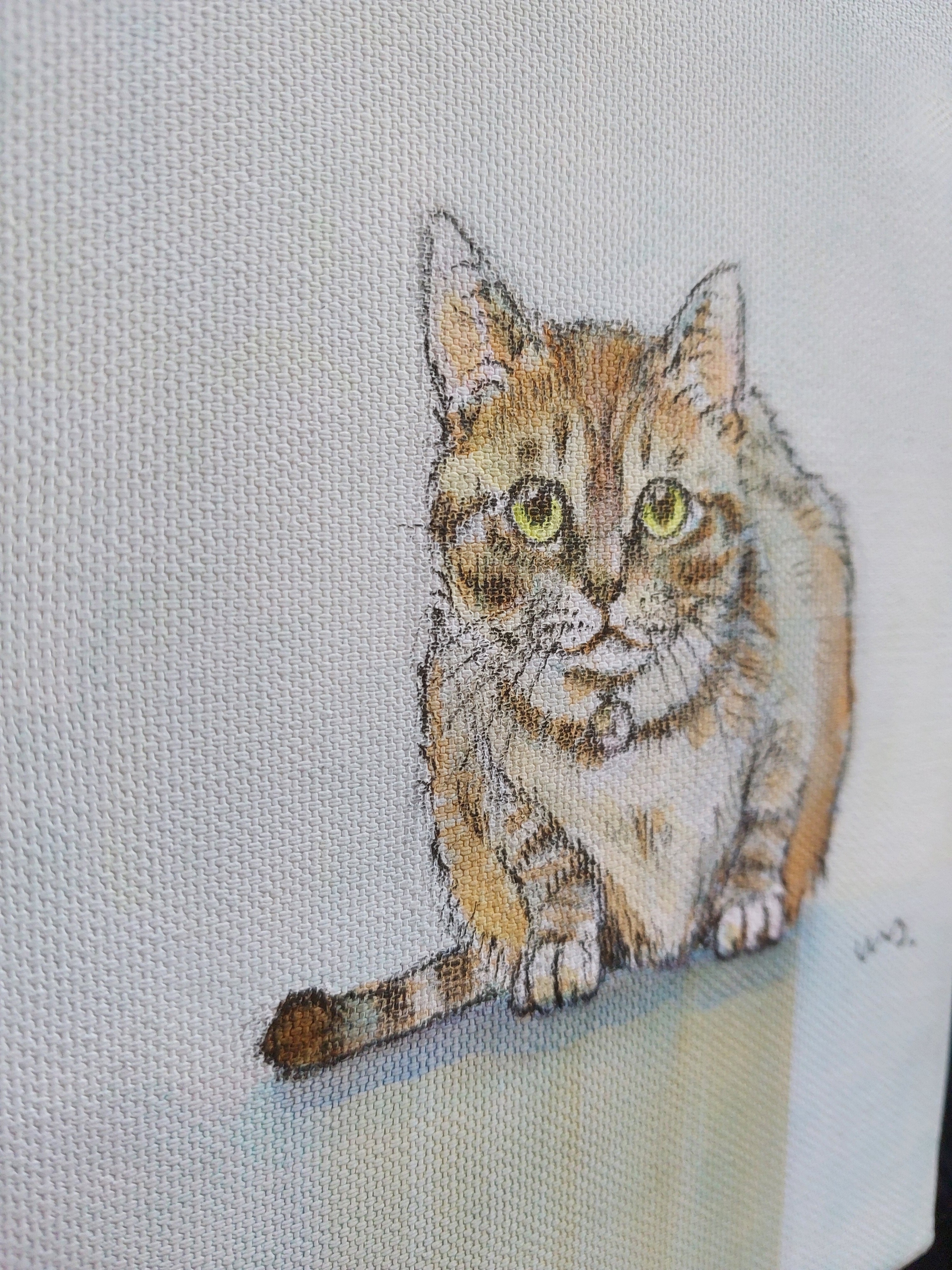 (F4号）安藤絵流「蒼い瞳のねこ」真作/肉筆/表裏にサイン有り/キジ白 真作】渡辺あきお 真筆原画 直筆サイン 裏書き有り 絵画 猫