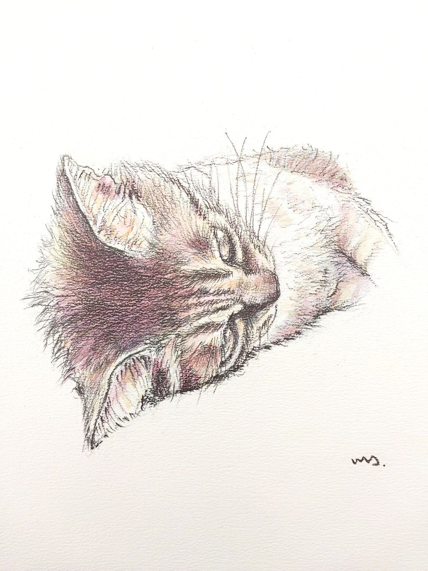 かまってほしい