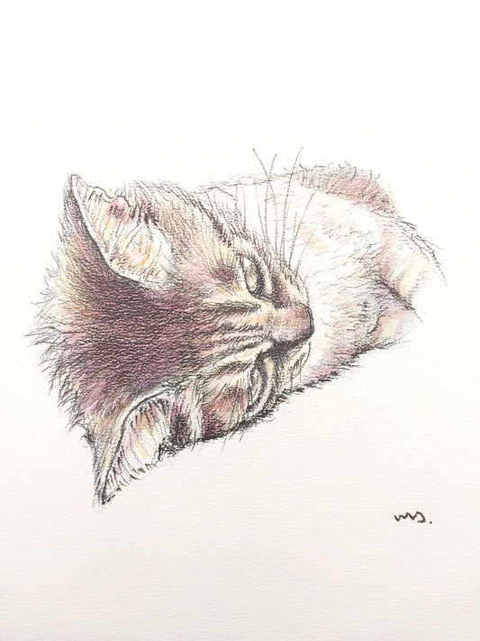 かまってほしい