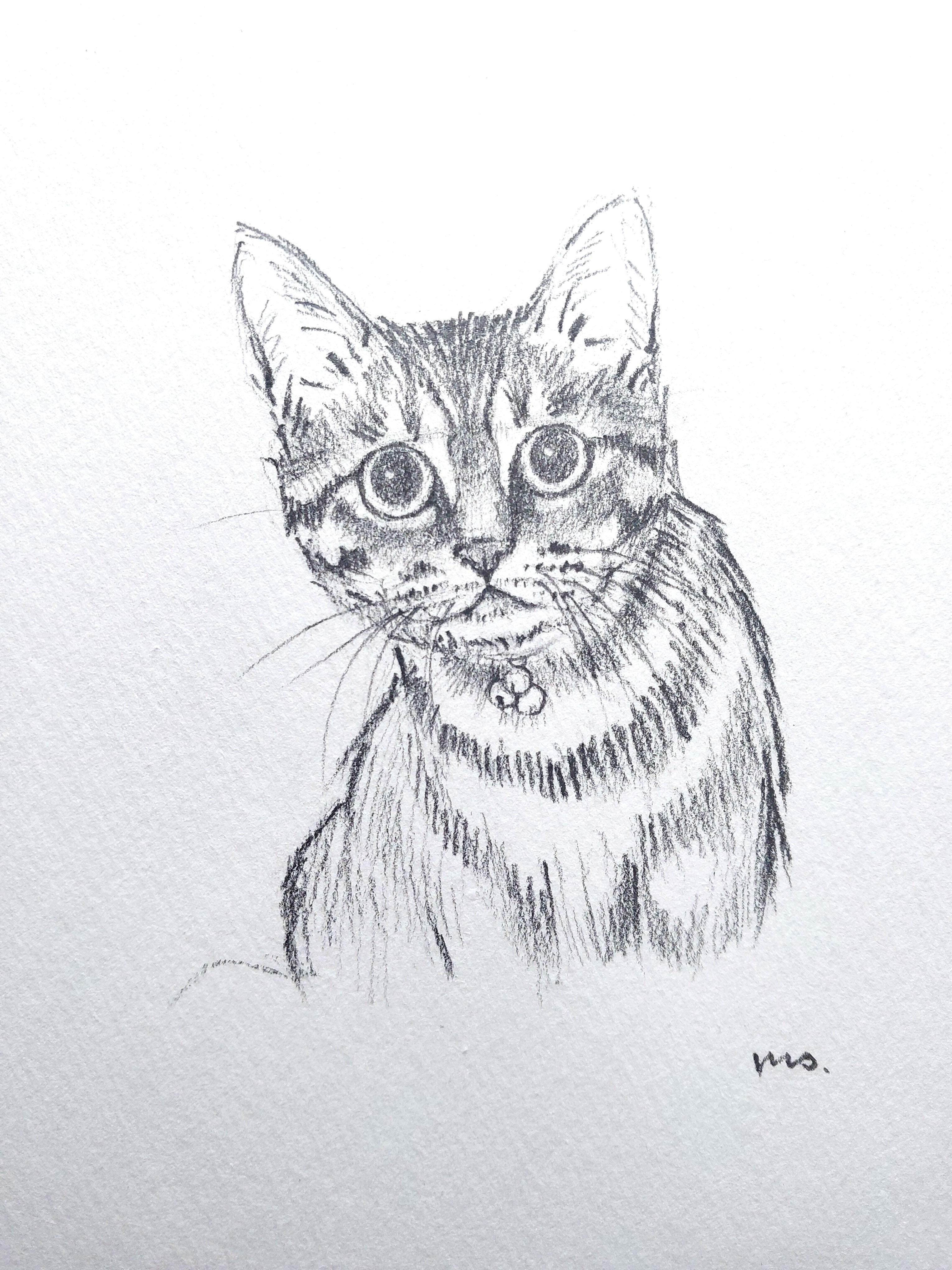 ワールド オンラインストア オーダーメイド : 手描き猫のイラスト – Misa Saito 絵画