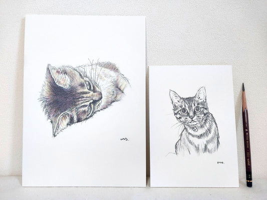 オーダーメイド : 手描き猫のイラストボード